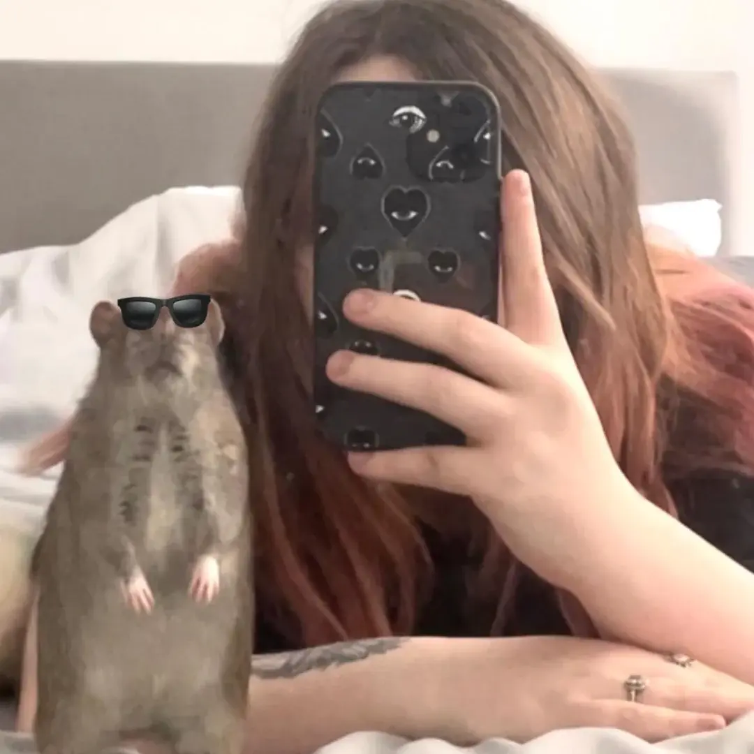 rat next to girl with a phone