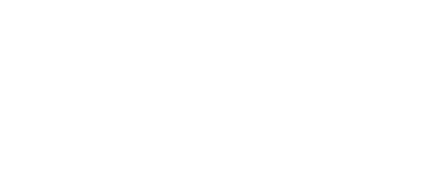 WWDot Computers Logo